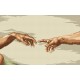 Z 33050 Cross Stitch Kit - Creation of Creation