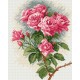 Z 4045 Kit de ponto cruz - rosas