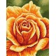 Z 4150 Kit Cross Stitch - Rose