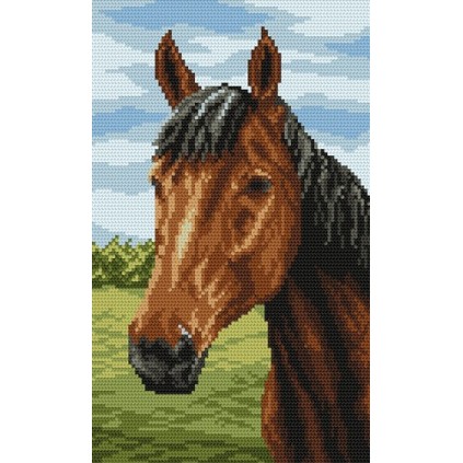 Z 4158 Cross Stitch Kit - Bay Horse