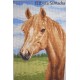 Z 4164 Kit Cross Stitch - Sorrel