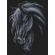 Z 4985 Cross Stitch Kit - Black Horse