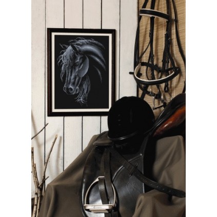 Z 4985 Cross Stitch Kit - Black Horse