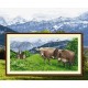 Z 8505 Cross Stitch Kit - Alpine Wiese