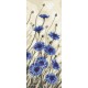 Z 8617 Kit punto croce - Fiore di centaurea