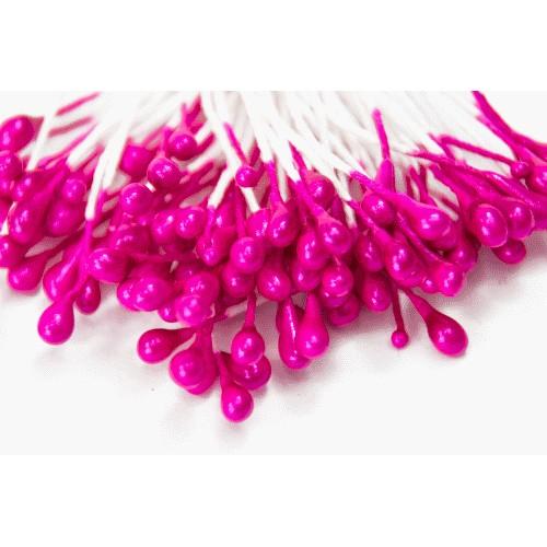 Flower stamens Flower stamens