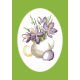 ZU 8679 Cross stitch kit - Easter card - Crocuses