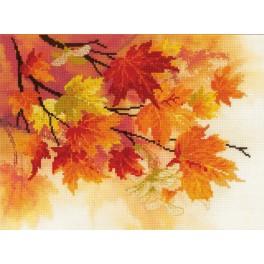 RIO 0054 PT Cross stitch kit with mouline and printed background - Autumn colours
