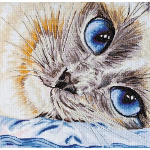 Kit with mouline - Sapphire eyes Kit with mouline - Sapphire eyes