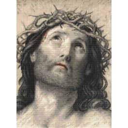ZN 8889 Cross stitch tapestry kit - Jesus Christ by Guido Reni