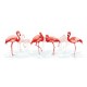 ZN 10117 Kit tapisserie au point de croix - Famille de flamants roses