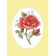 GU 8747 Cross stitch pattern - Greeting card - Rose