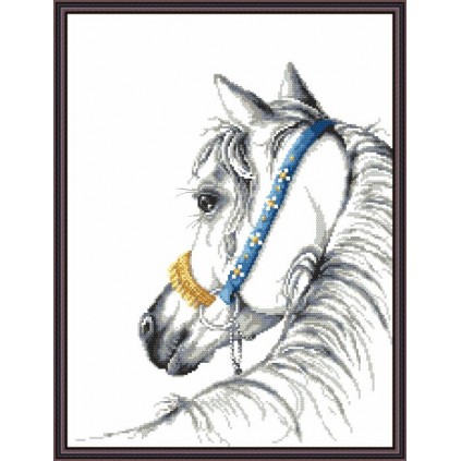 Zn 8750 Cross Stitch Tapestry Kit - Arabian Horse