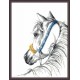 AN 8750 Tapestry Aida - Arabian horse