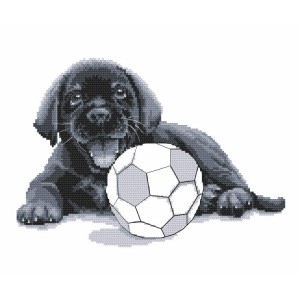W 8770 ONLINE pattern pdf - Labrador - Play with me