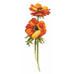 W 10138 ONLINE pattern pdf - Anemone