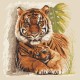 W 10183 ONLINE pattern pdf - Tigers