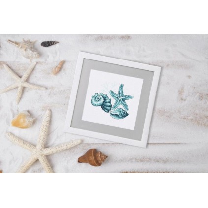 Z 10220 Cross Stitch Kit - Sea Shells II