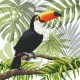 GC 8978 Cross stitch pattern on paper - Toucan in the tropics