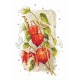 Ένα 10190 Tapestry Aida -