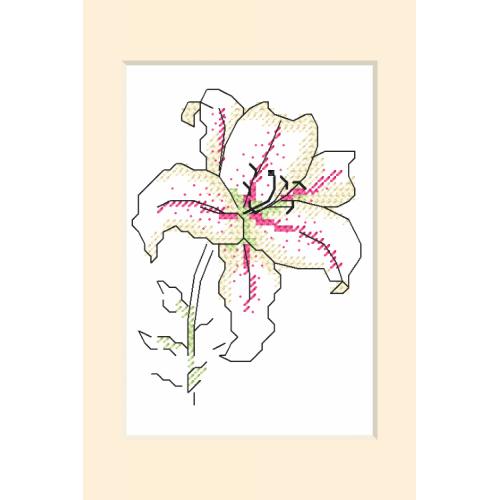 ZU 10227 Cross stitch kit - Occasional card - Lily ZU 10227 Cross stitch kit - Occasional card - Lily