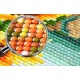 DD3.020 Diamond Painting Kit - Jive&#39;n