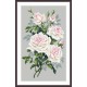 En 10242 Tapestry Aida - Vita rosor