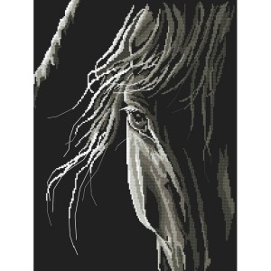 Z 10246 Cross Stitch Kit - Horse&#39;s Look