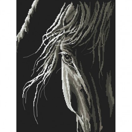 Z 10246 Cross Stitch Kit - Horse&#39;s Look