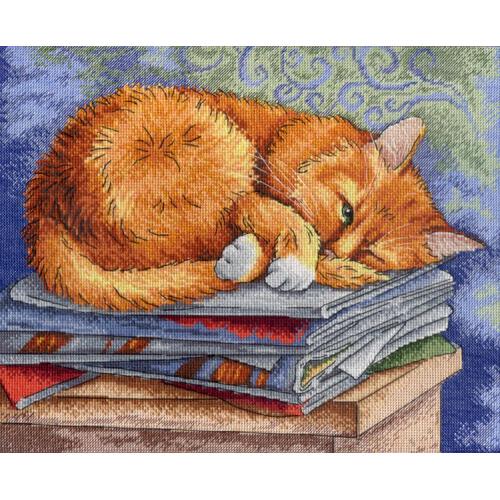 Cross stitch kit - Studying cat Cross stitch kit - Studying cat