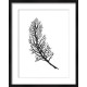 Z 10251 Kit Cross Stitch - Pena preta