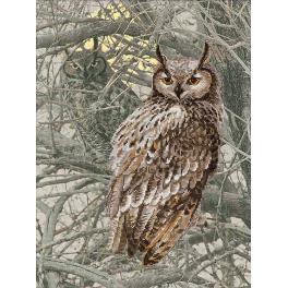 RPT 0038 Cross stitch kit with mouline and printed background - Owl