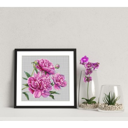 Z 10272 Cross Stitch Kit - vackra pioner