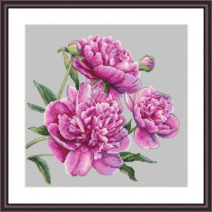 Z 10272 Cross Stitch Kit - vackra pioner