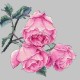 AN 10270 Tapisserie aïda - Brindille de rose