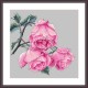 AN 10270 Tapisserie aïda - Brindille de rose