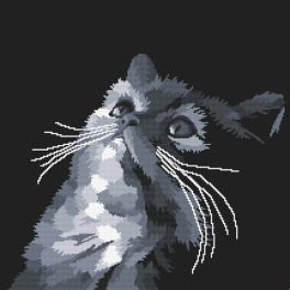 K 10638 Tapestry canvas - Gray cat