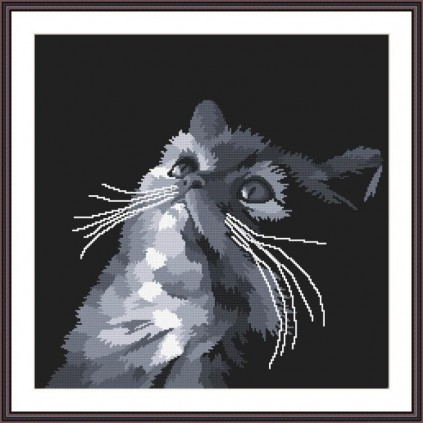 Z 10638 Kit point de croix - Chat gris