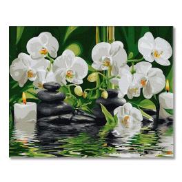 PC4050567 Painting by numbers - Orchids in quiet water