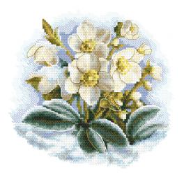 AN 10306 Tapestry aida - Winter flower