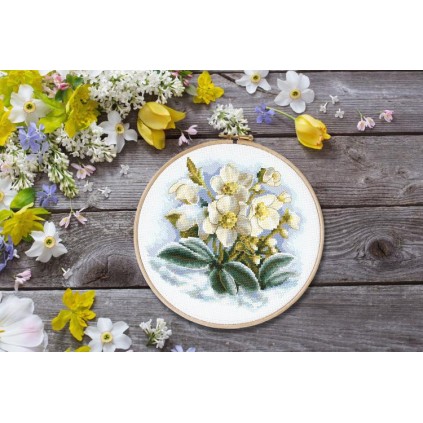AN 10306 Tapiz aida - Flor de invierno