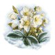 Zn 10306 Cross Stitch Tapestry Kit - Winter Flower