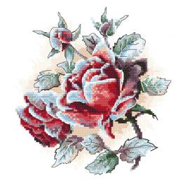 AN 10305 Tapestry aida - Frosted roses