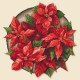 Z 10648 Kit punto croce - Stella di Natale