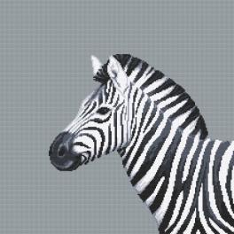 W 10656 ONLINE pattern pdf - Black and white zebra