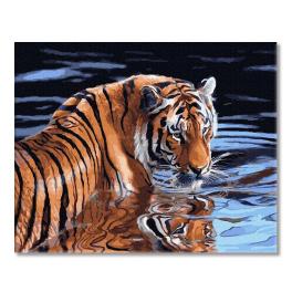 PC4050652 Painting by numbers - Tiger and water