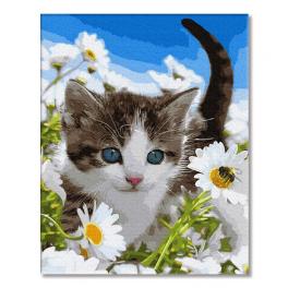 PC4050284 Painting by numbers - Kitten in a field of chamomiles