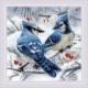 RIO 1925 Kit punto croce con filato - Ghiandaie blu