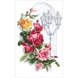 AN 10446 Tapestry Aida - Colourful roses with a lantern