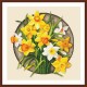 GC 10647 Cross stitch pattern - Narcissus
